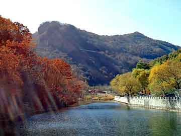 澳门精准正版免费大全14年新，黑牛花生牛奶